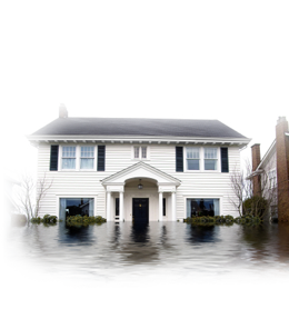 Florida Flood Insurance for Tampa Clearwater Oldsmar St Pete ...